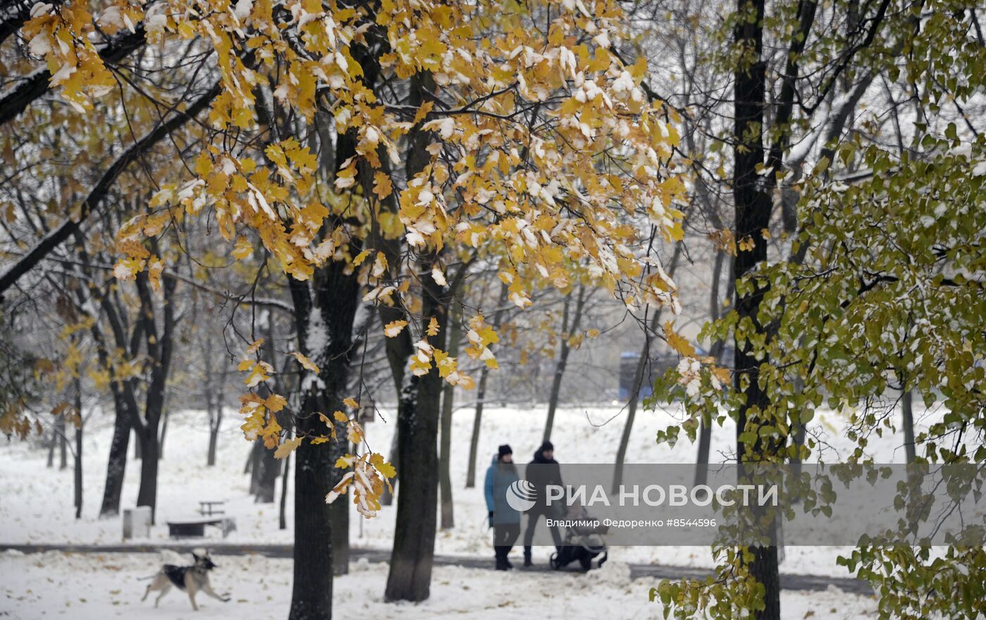 Снег в Москве