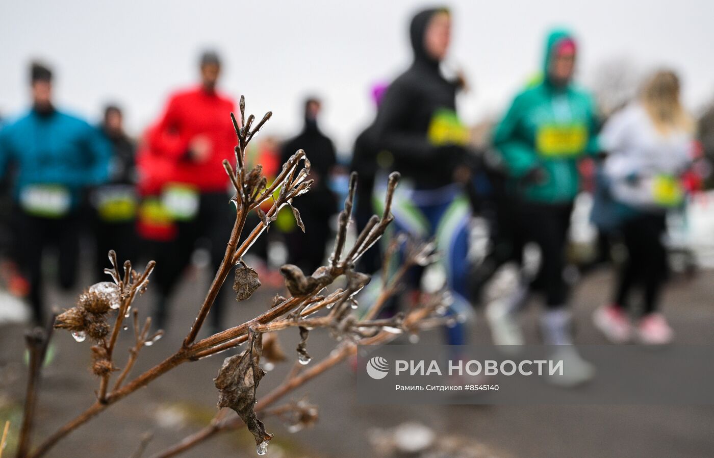 Забег "Крылатский трейл"