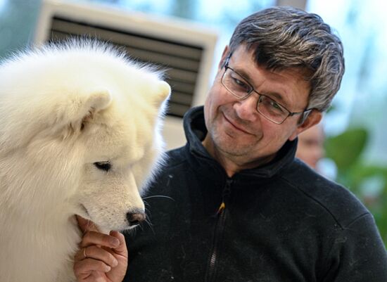 Выставка породистых собак в Казани