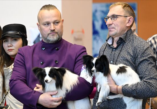 Выставка породистых собак в Казани