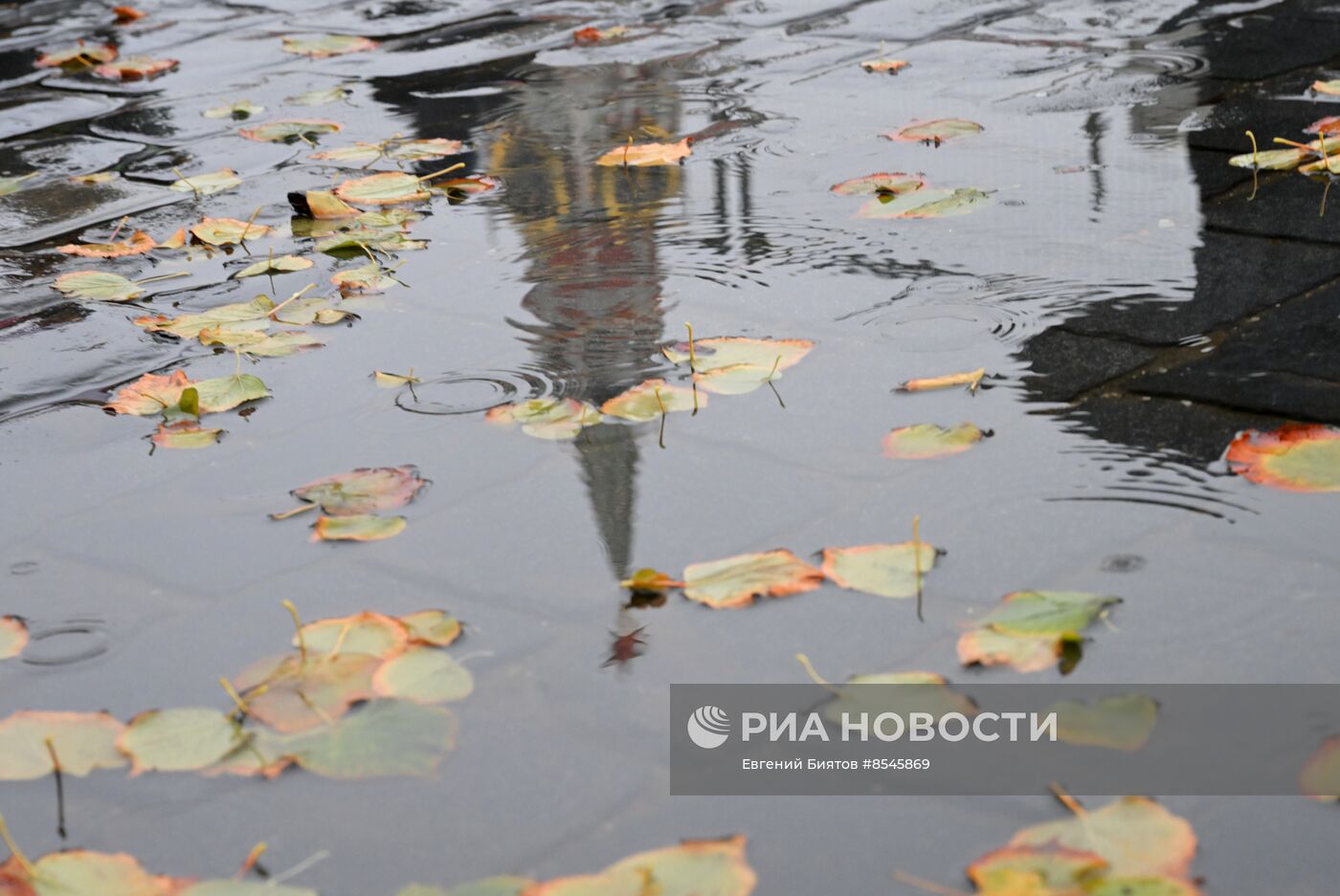 Дождливая погода в Москве