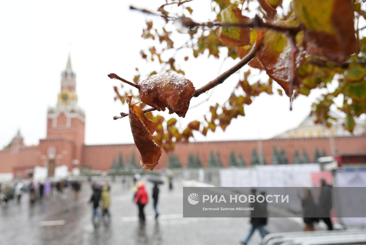 Дождливая погода в Москве