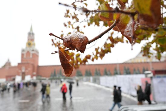 Дождливая погода в Москве