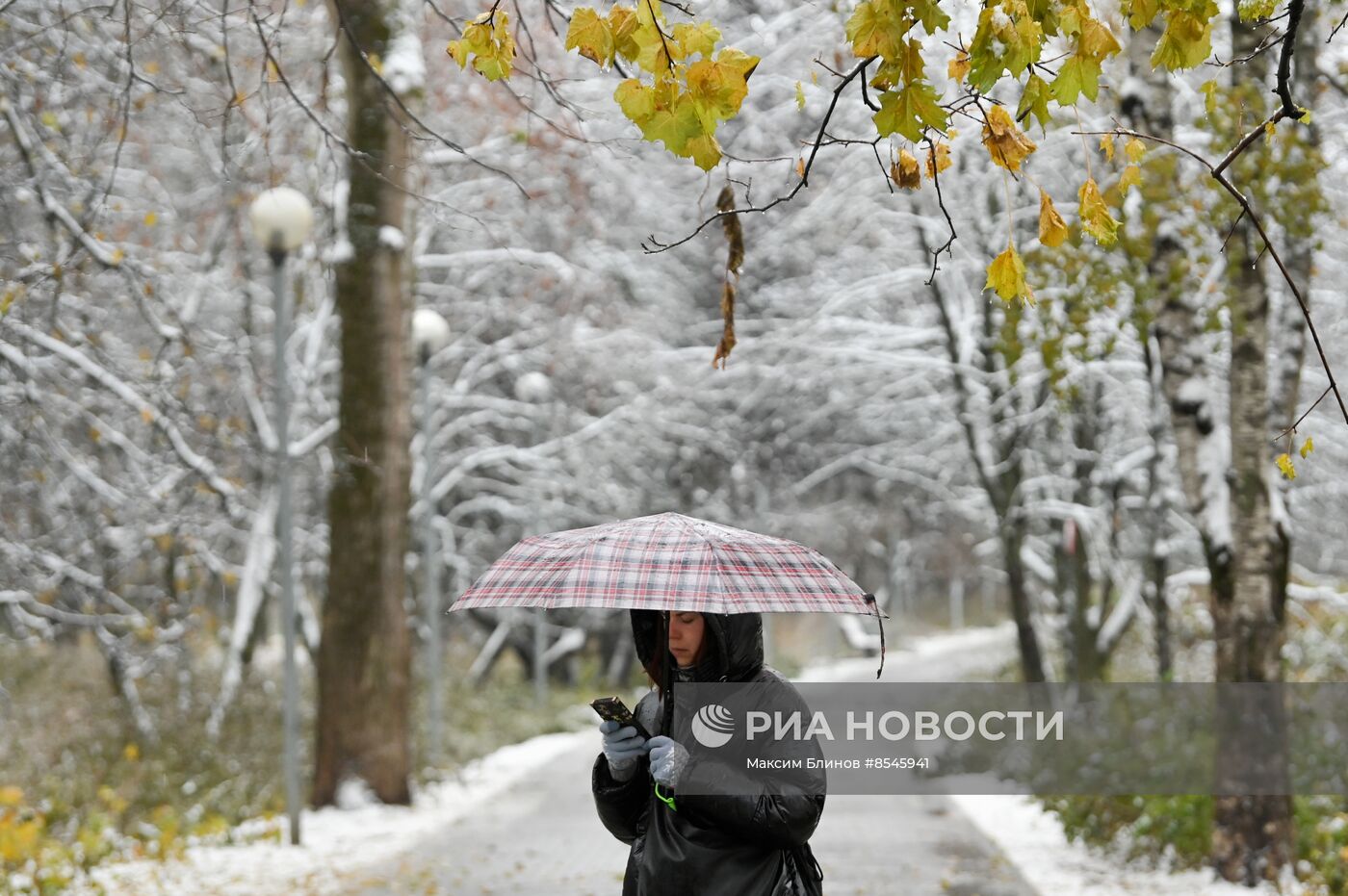 Дождливая погода в Москве