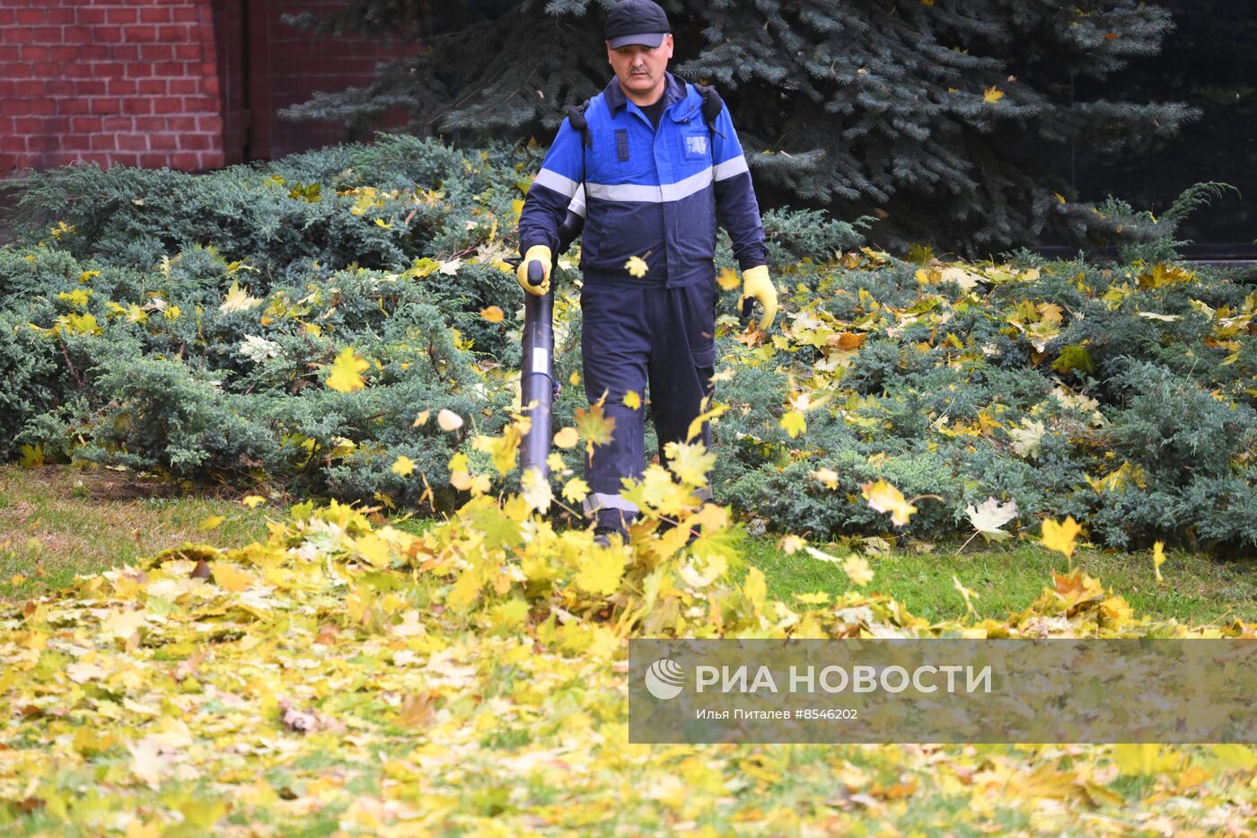 Теплая погода в Москве