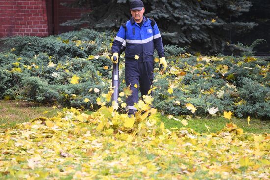 Теплая погода в Москве 