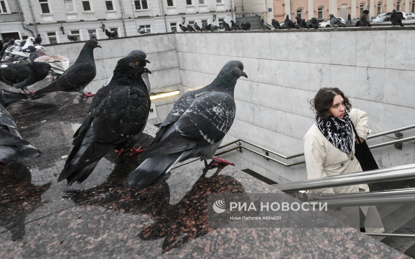Теплая погода в Москве