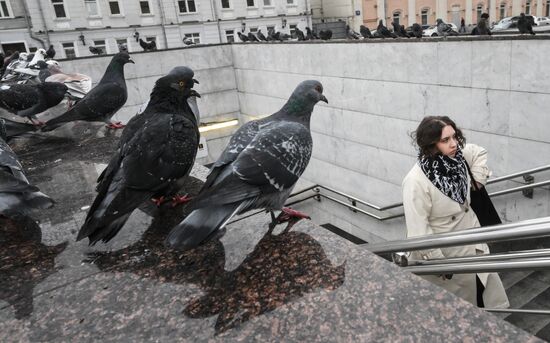 Теплая погода в Москве 