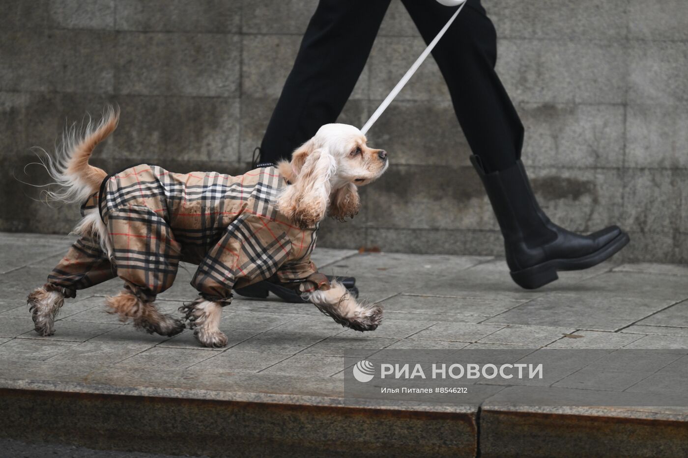 Теплая погода в Москве