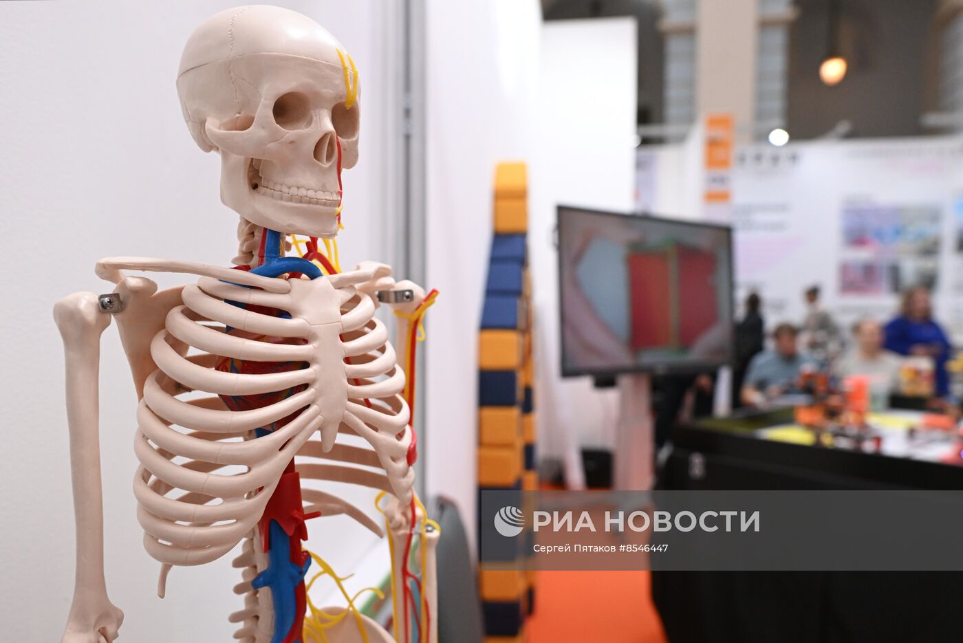 Международный фестиваль "Зодчество 2023"