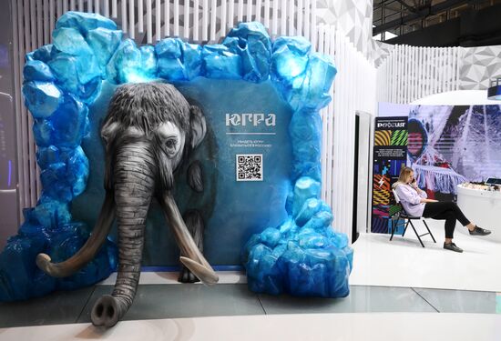 Подготовка к выставке-форуму "Россия" на ВДНХ