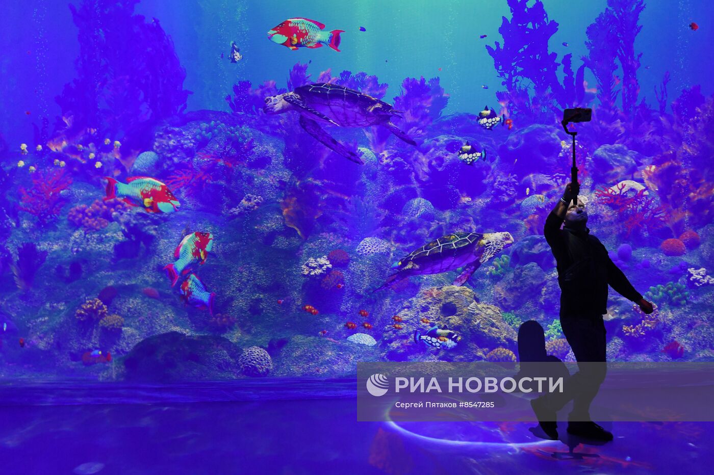 Открытие новой арт-площадки "Солнца Москвы"