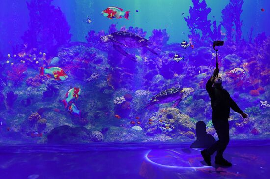 Открытие новой арт-площадки "Солнца Москвы"