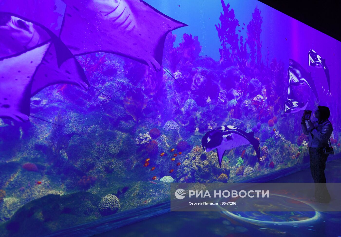 Открытие новой арт-площадки "Солнца Москвы"