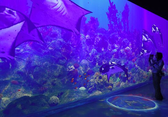 Открытие новой арт-площадки "Солнца Москвы"