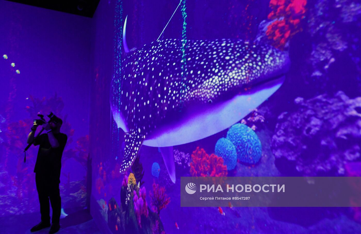 Открытие новой арт-площадки "Солнца Москвы"