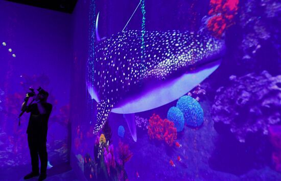 Открытие новой арт-площадки "Солнца Москвы"