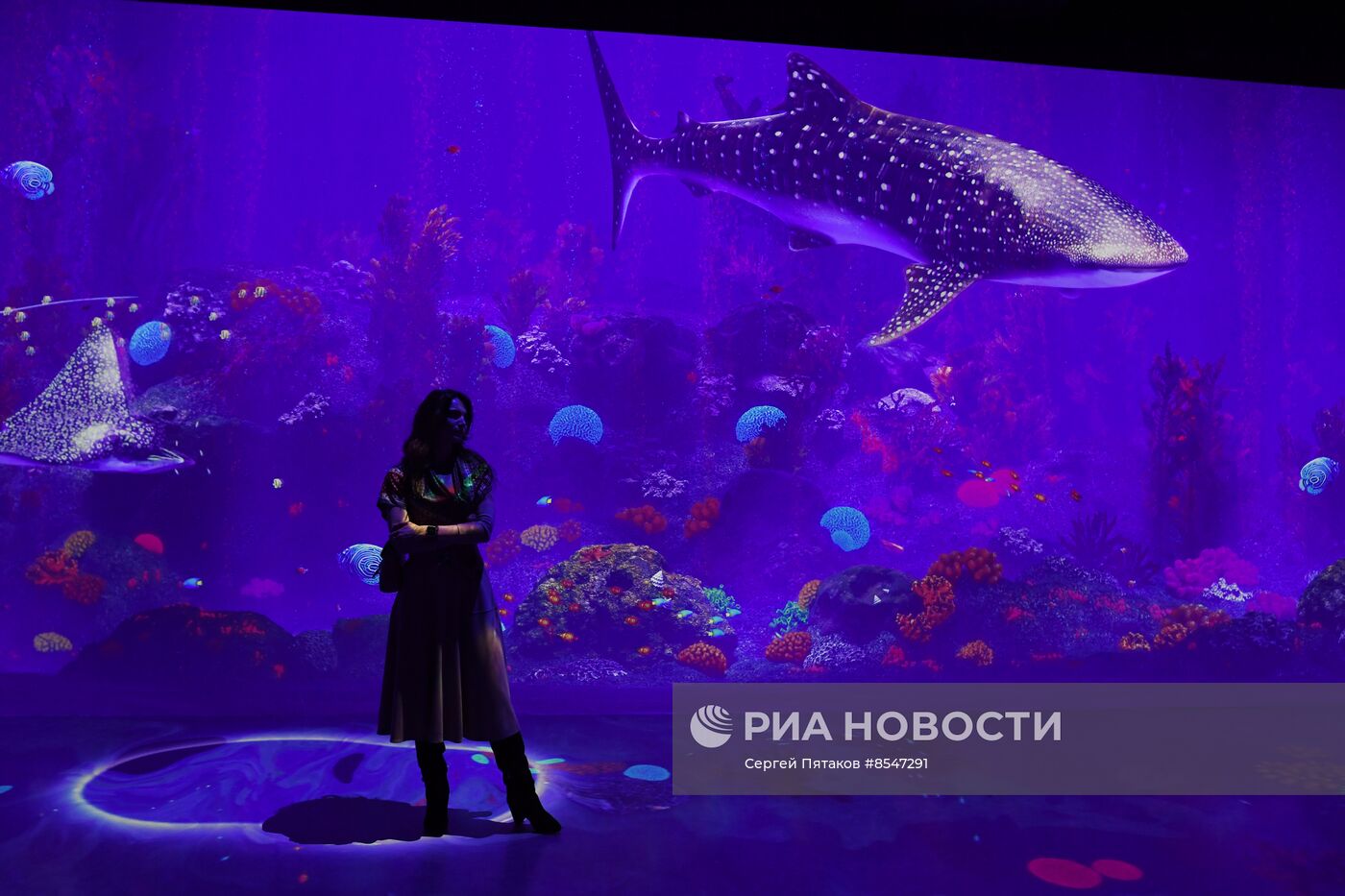 Открытие новой арт-площадки "Солнца Москвы"