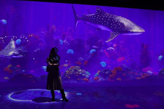 Открытие новой арт-площадки "Солнца Москвы"