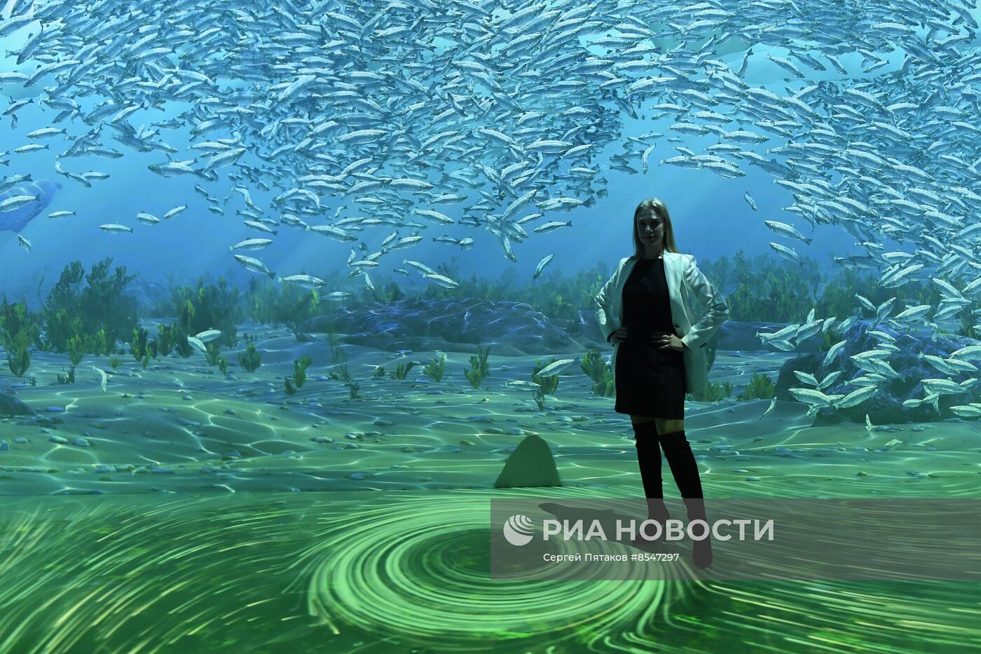 Открытие новой арт-площадки "Солнца Москвы"