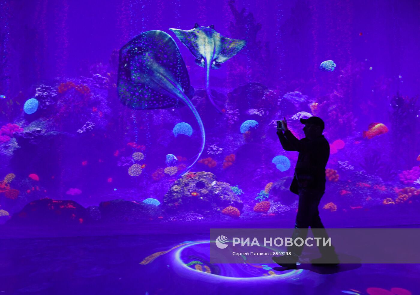 Открытие новой арт-площадки "Солнца Москвы"