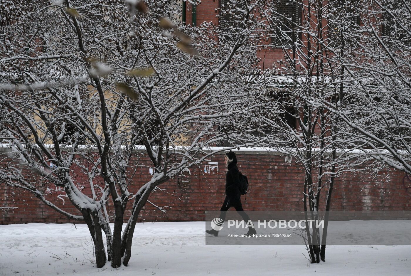 Снег в Новосибирске