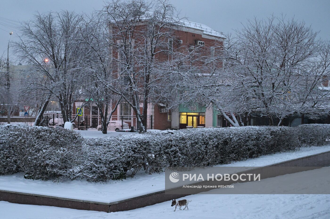 Снег в Новосибирске