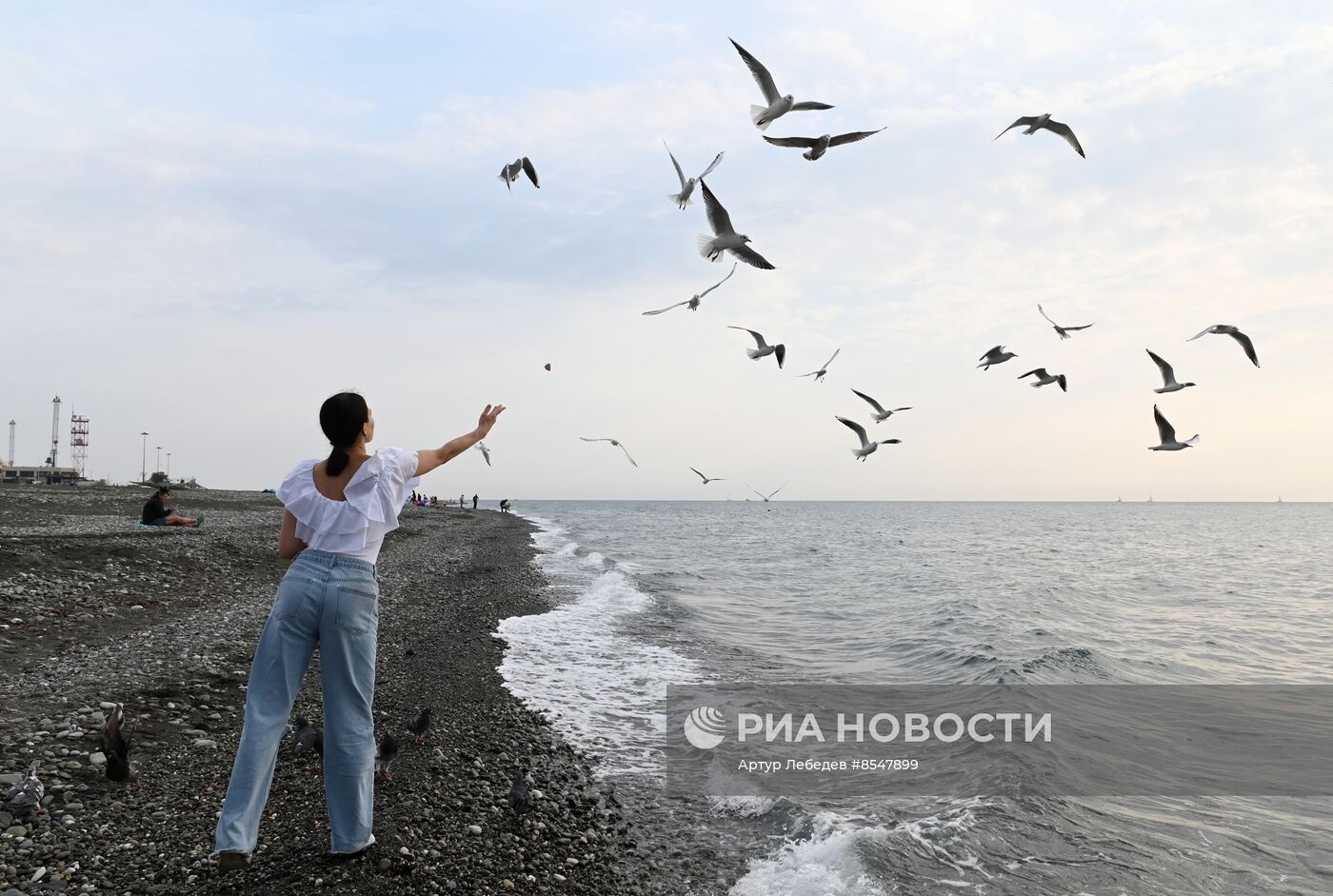 Зимние пляжи открылись в Сочи