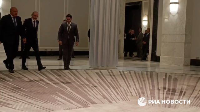 Главы МИД шести арабских стран представят Блинкену единую арабскую позицию по Палестине