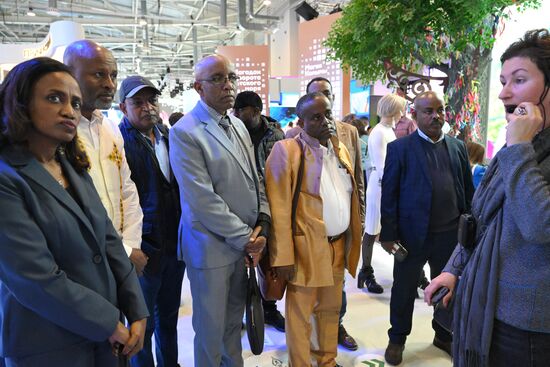 Выставка "Россия". Визит промышленной делегации из Федеративной Демократической Республики Эфиопия