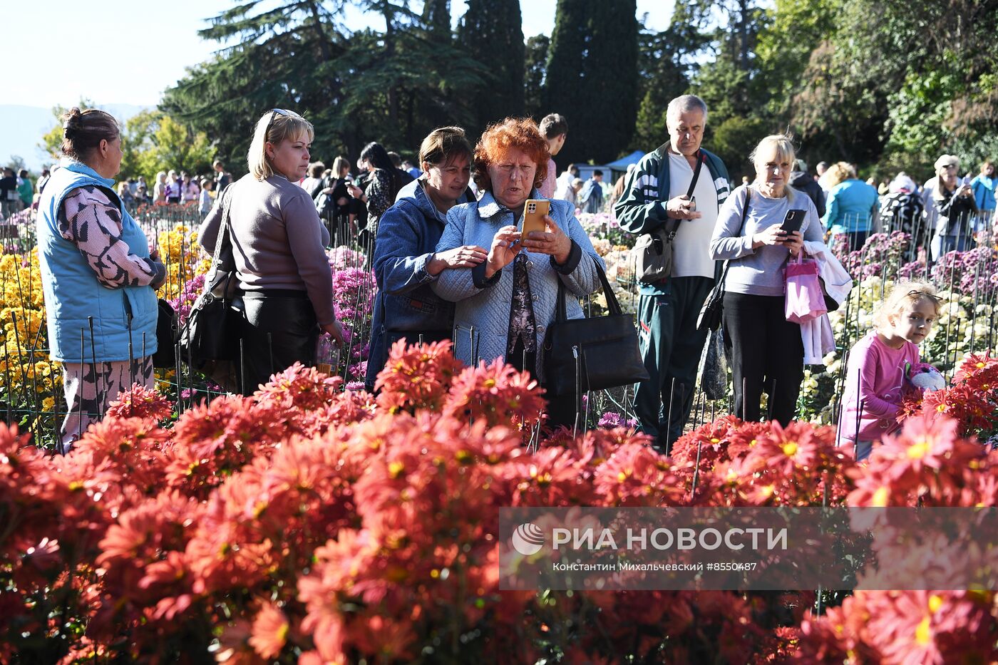 "Бал хризантем" в Никитском ботаническом саду