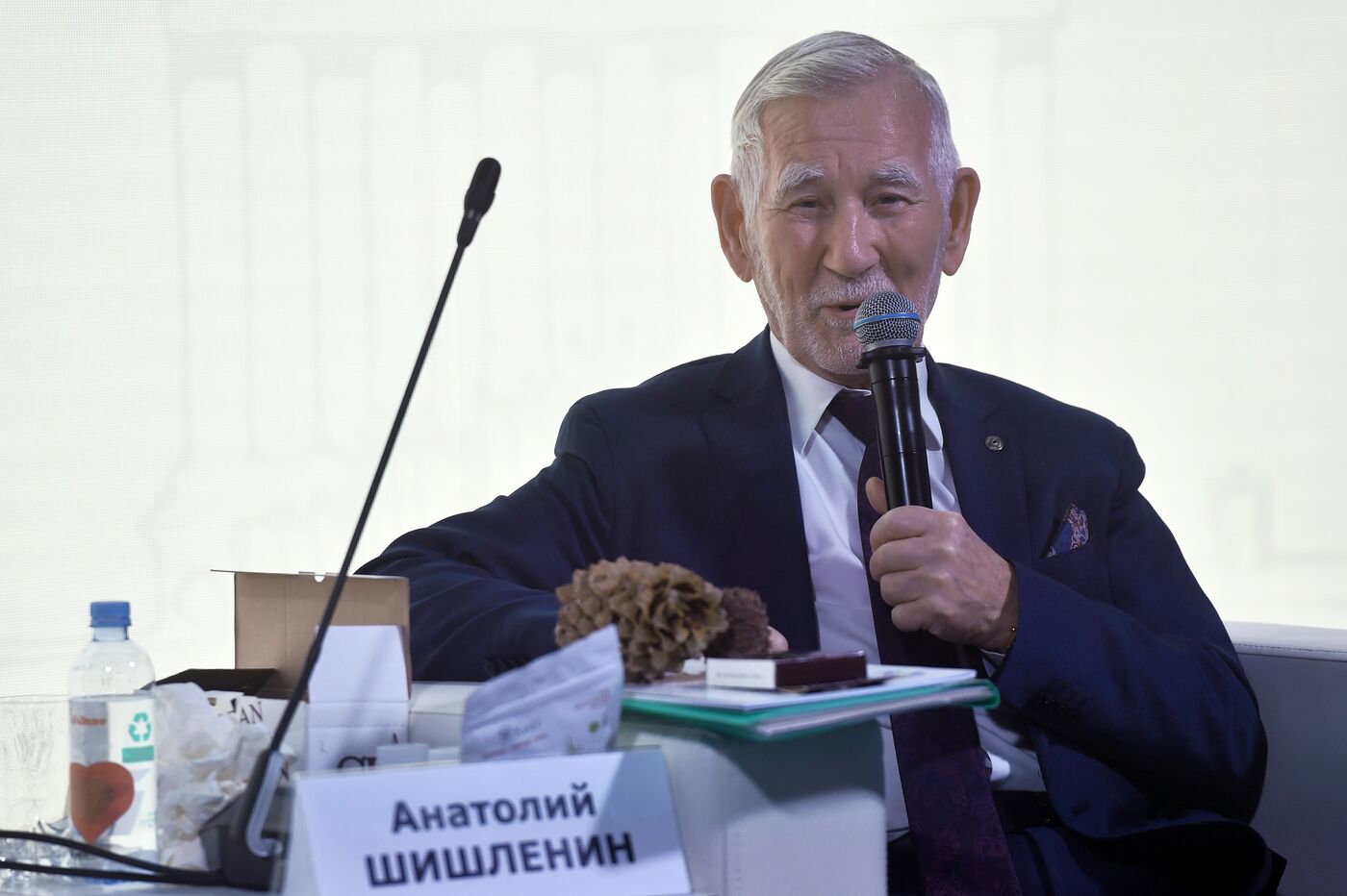 Выставка "Россия". Московский международный фестиваль пенсионеров