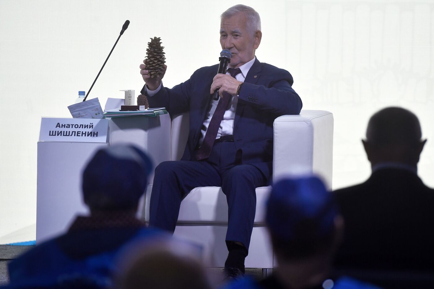 Выставка "Россия". Московский международный фестиваль пенсионеров