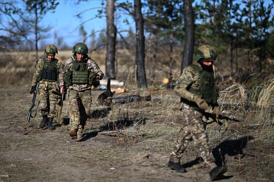 Боевая подготовка военнослужащих ВДВ в зоне СВО