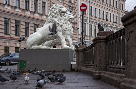 Виды Санкт-Петербурга