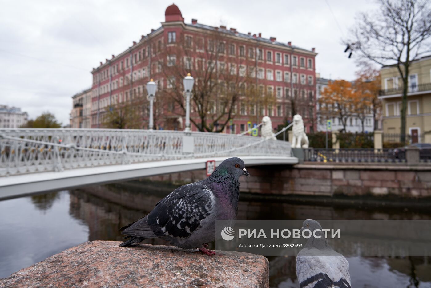 Виды Санкт-Петербурга