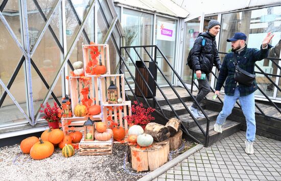 Выставка "Россия". Экспозиция "Есть свое!"