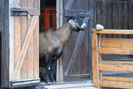 Выставка "Россия". Экспозиция "Есть свое!"