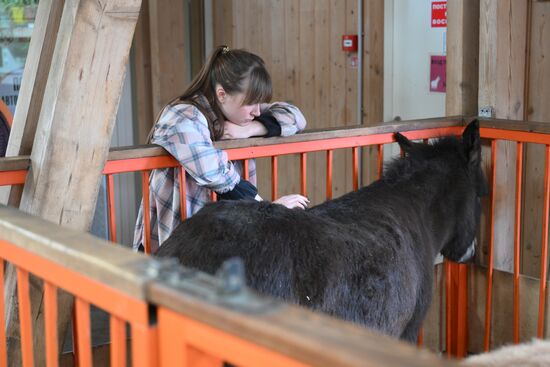 Выставка "Россия". Экспозиция "Есть свое!"