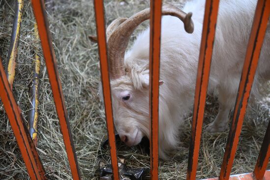 Выставка "Россия". Экспозиция "Есть свое!"