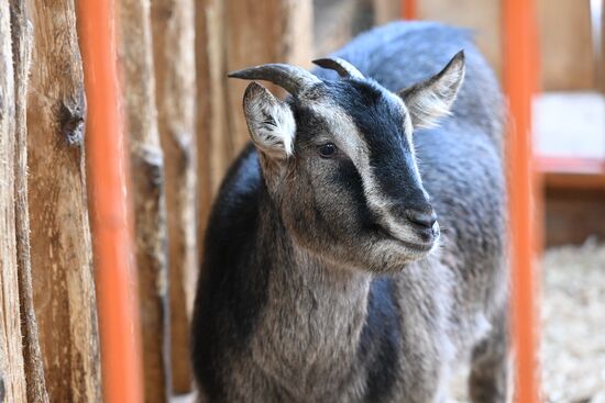 Выставка "Россия". Экспозиция "Есть свое!"