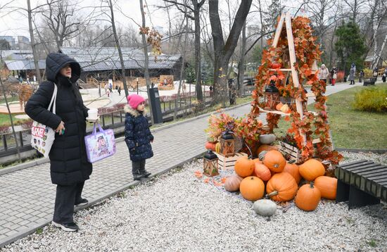 Выставка "Россия". Экспозиция "Есть свое!"
