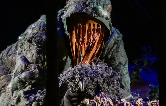 Выставка "Россия". Спектакль "Миргачан или тайна Тунгусского метеорита"