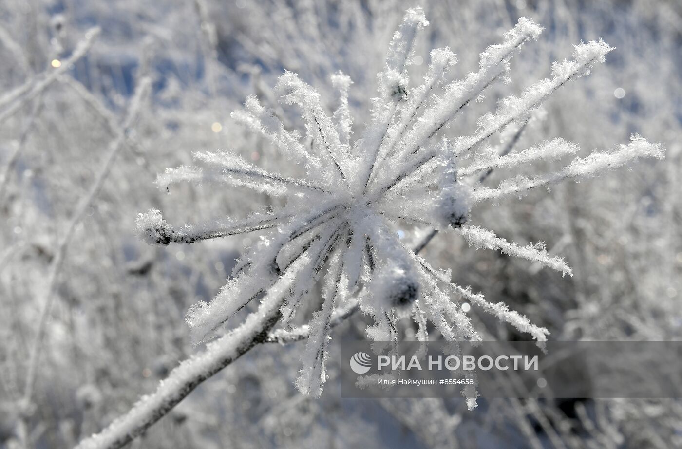 Поздняя осень в Красноярском крае