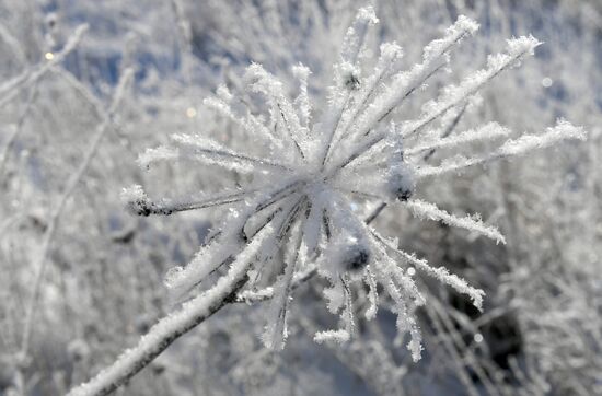 Поздняя осень в Красноярском крае