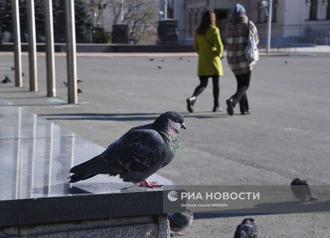 Повседневная жизнь во Владивостоке