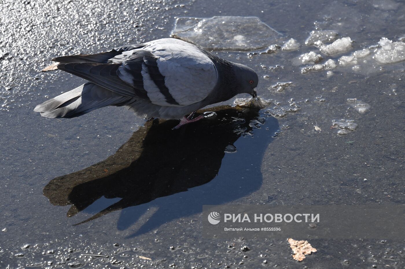 Повседневная жизнь во Владивостоке