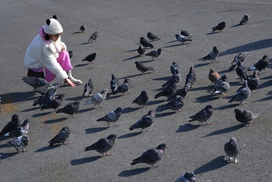 Повседневная жизнь во Владивостоке