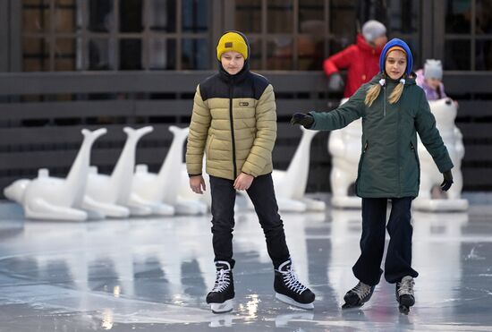 Каток открылся на острове Новая Голландия в Санкт-Петербурге