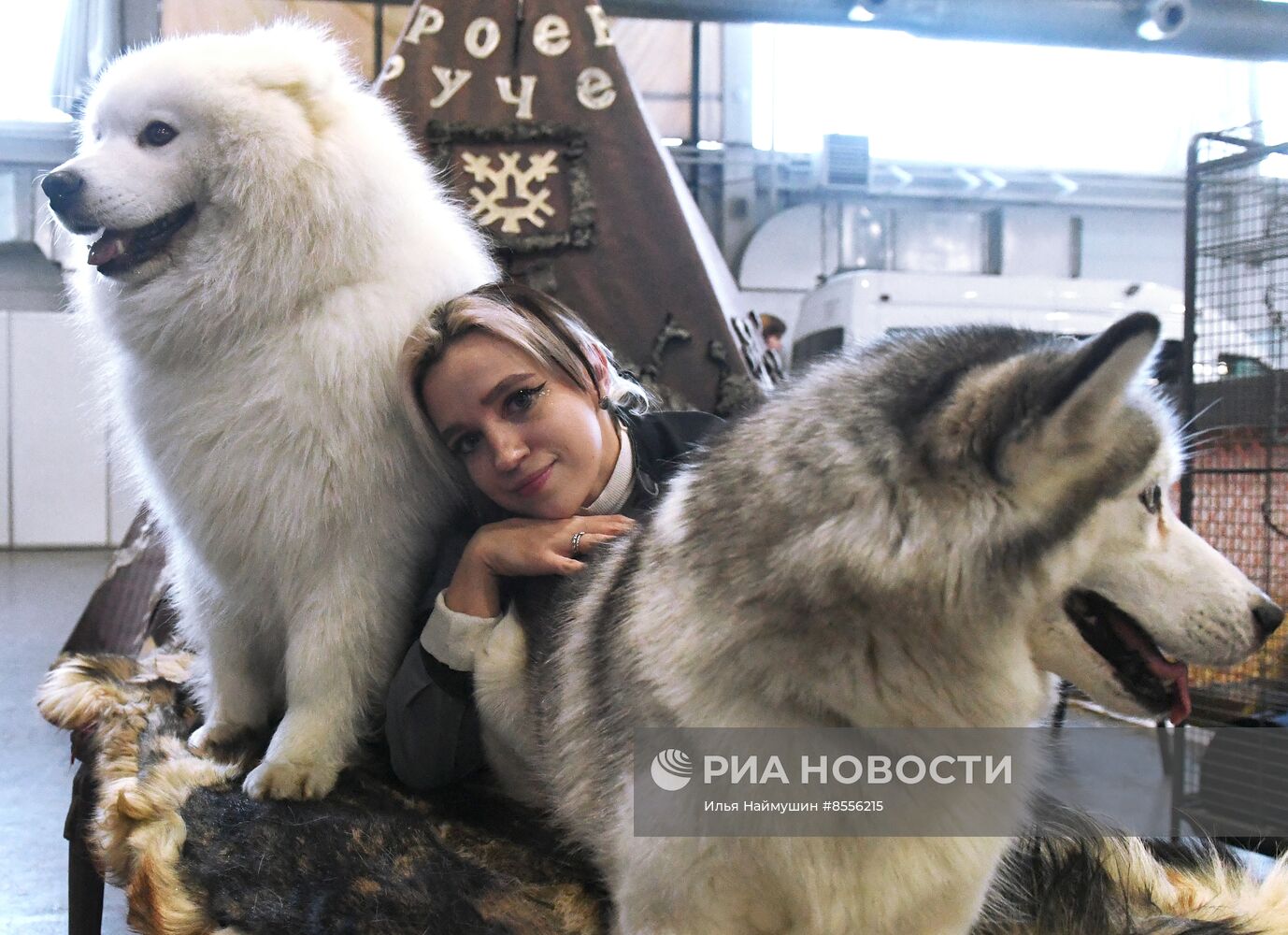 Выставка "Зоомир" в Красноярске